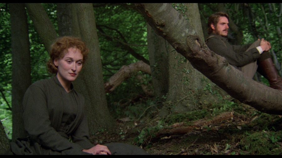 The French Lieutenant S Woman Review Criterion Forum   Frenchlieutenantblu00011 